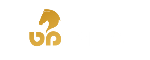 סטודיו מט